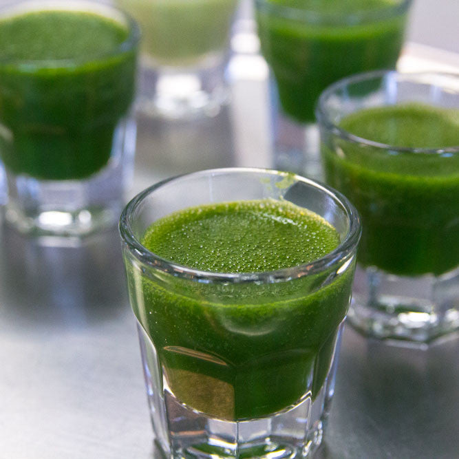 Benefits of wheatgrass shots